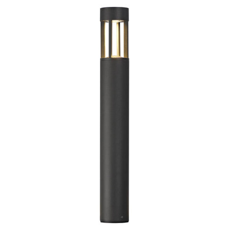 Padverlichting Staande Buitenlamp LED 66 cm Padverlichting Staande Buitenlamp LED 66 cm