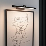 LED Schilderijverlichting 42 cm