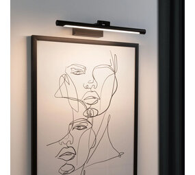 LED Schilderijverlichting 42 cm