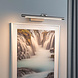 LED Schilderijverlichting 42 cm LED Schilderijverlichting 42 cm