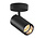 Schilderijspot GU10 Tube