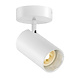 Schilderijspot GU10 Tube