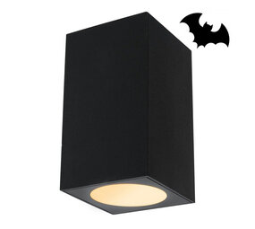 Vleermuisvriendelijke Verlichting Bat-1 Vleermuisvriendelijke Verlichting Bat-1