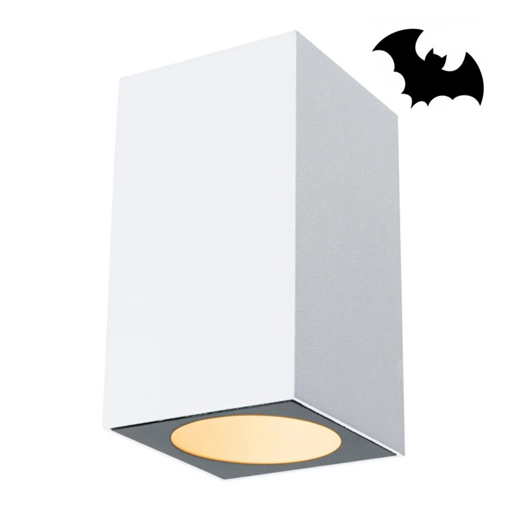 Vleermuisvriendelijke Verlichting Bat-1