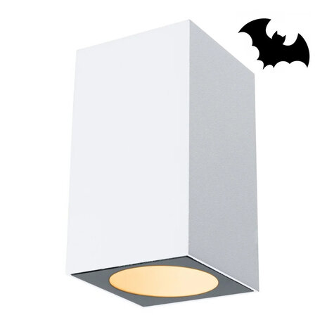 Vleermuisvriendelijke Verlichting Bat-1