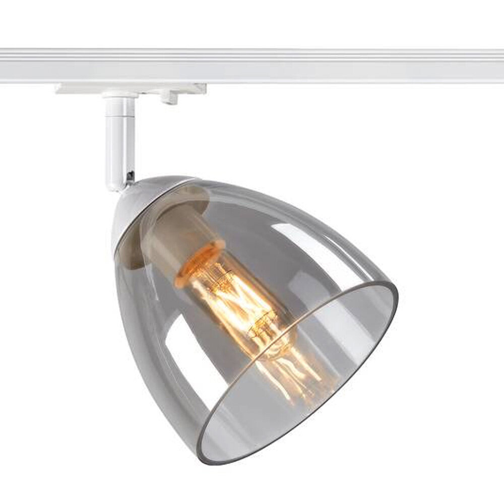 Railspot Groot Glas GU10 1-Fase Railspot Groot Glas GU10 1-Fase