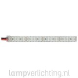 LED Strip 240 IP68 5 meter
