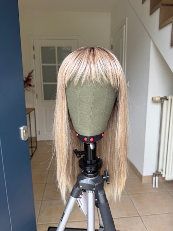 Ellen Wille Cher Sandyblonde rooted Ellen Wille Cher Sandyblonde rooted