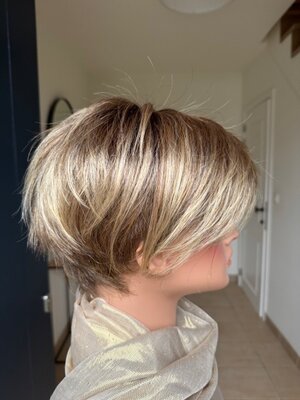 Modixx Avola Bernstein rooted