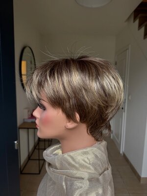 Modixx Avola Bernstein rooted