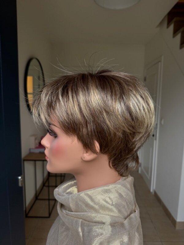 Modixx Avola Bernstein rooted