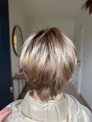 Modixx Avola Bernstein rooted