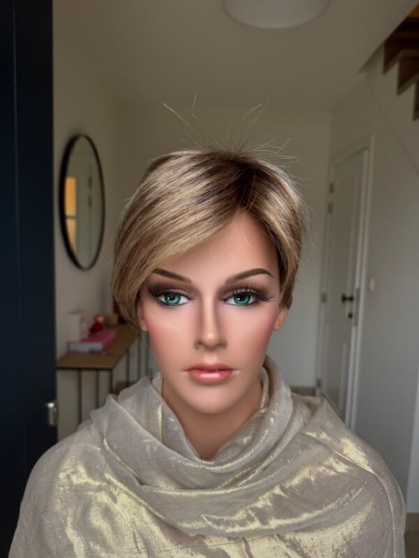 Modixx Avola Bernstein rooted