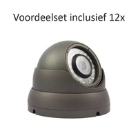 CHD-CS12D1 - 16 kanaals NVR inclusief 12 CHD-D1 IP camera's