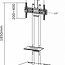 Neomounts  PLASMA-M1700ES TV Vloerstandaard