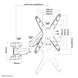 Neomounts WL70-550BL14 Monitorbeugel Muurmontage Neomounts WL70-550BL14 Monitorbeugel Muurmontage