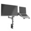 DQ Pardo Monitor/Laptop Monitorbeugel