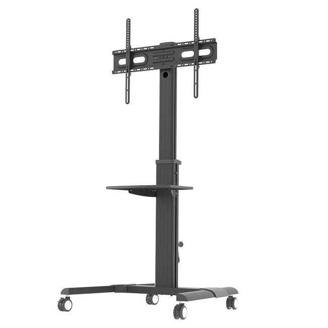 DQ Nitsa Verrijdbare TV Vloerstandaard Zwart
