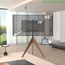 XTRARM Argo Tripod TV Standaard Walnoot