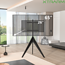 XTRARM Argo Tripod TV Standaard Zwart