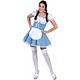 Dirndl jurk blauw/wit  VERKOOP