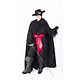 Zorro kostuum huren - 498