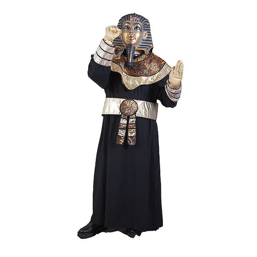 The Masked Singer Egyptische Farao - 773