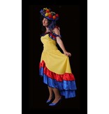 Carnavalskostuum Rio huren - 247