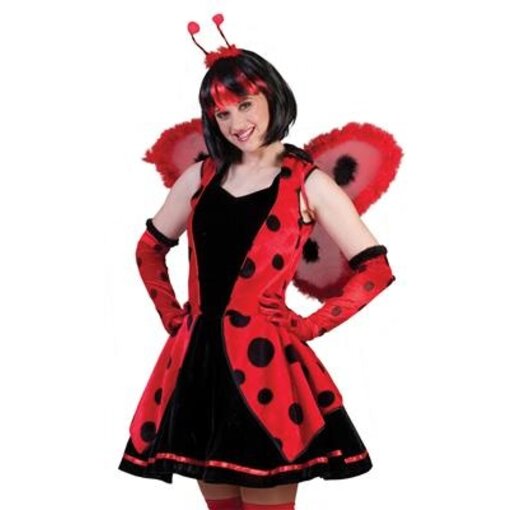 koop Lieveheersbeestje - carnaval