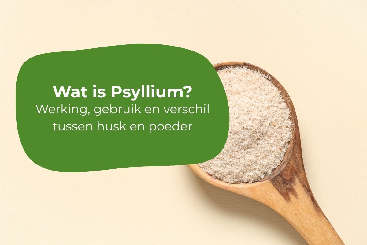 Wat is psyllium? Werking en gebruik