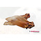 BARFmenu Premium Snack Oreilles de buffle
