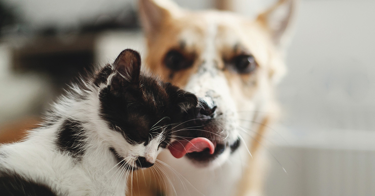 De ultieme gids om over te stappen naar KVV!