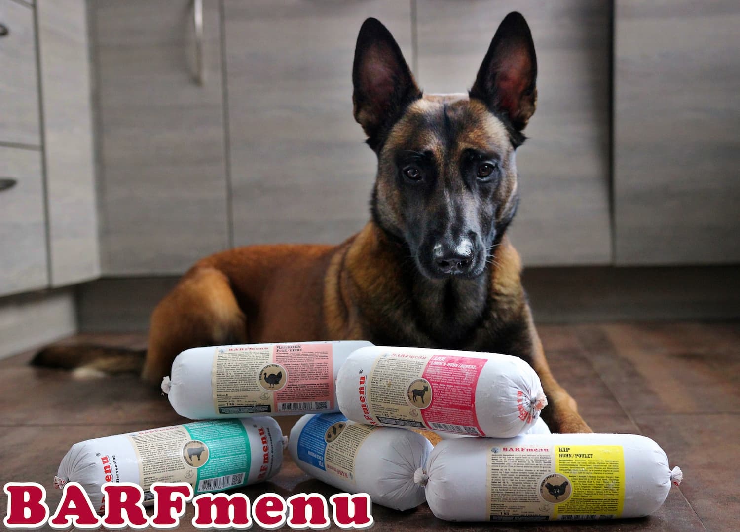 Voer voor moeilijk etende honden