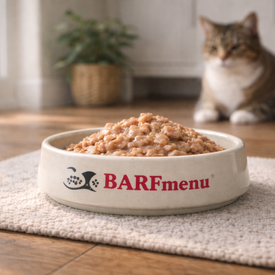 Voer voor katten met blaasgruis