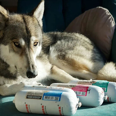 Soorten hondenbrokken