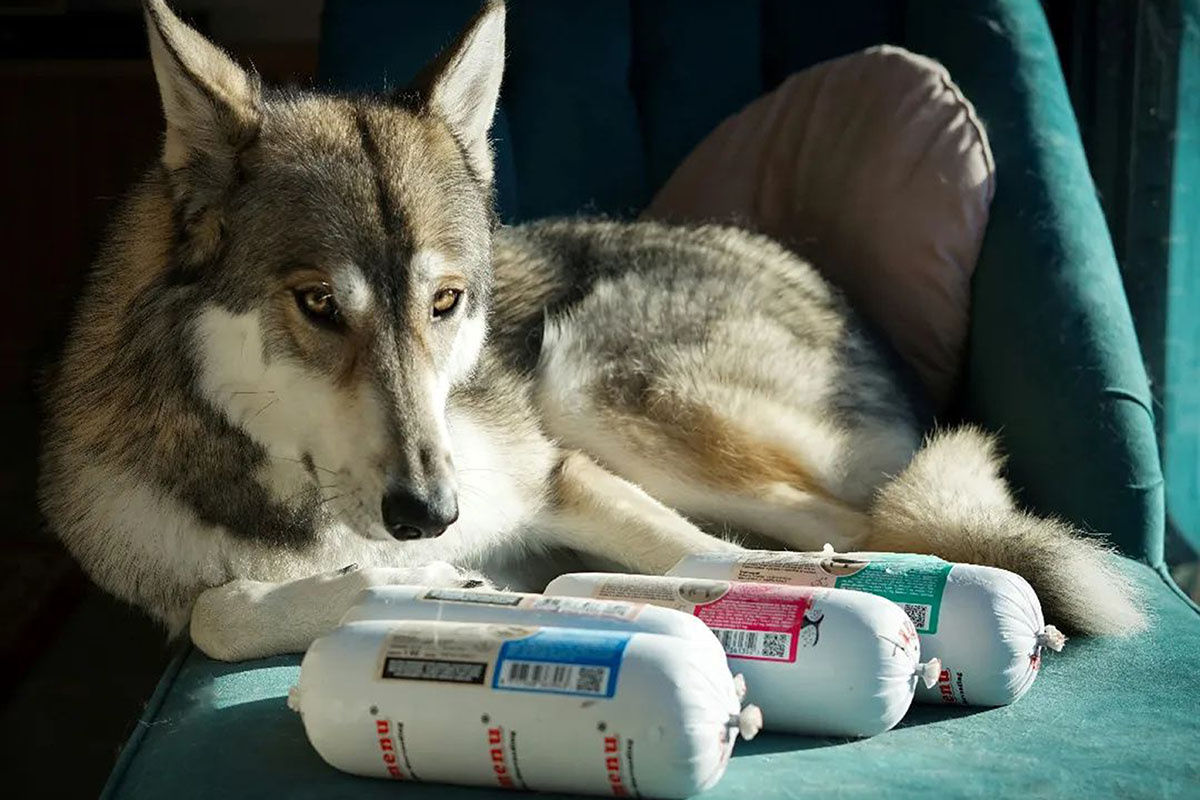 Soorten hondenbrokken