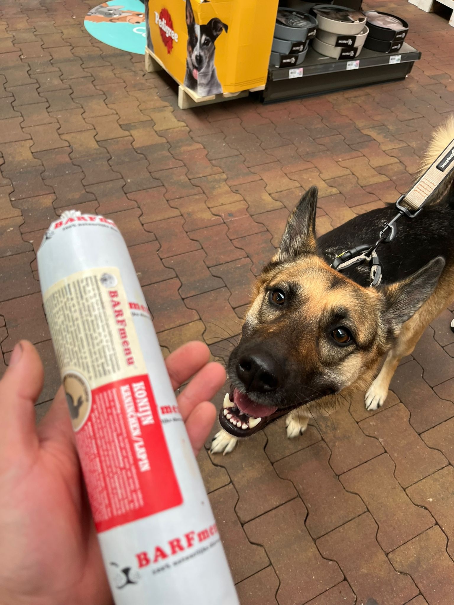 Calorie-arm voer voor honden