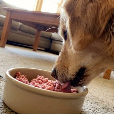 Hoe zelf hondenvoer samenstellen