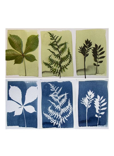 Botanopia CYANOTYPE DIY-Kit