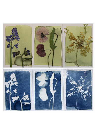 Botanopia CYANOTYPE DIY-Kit