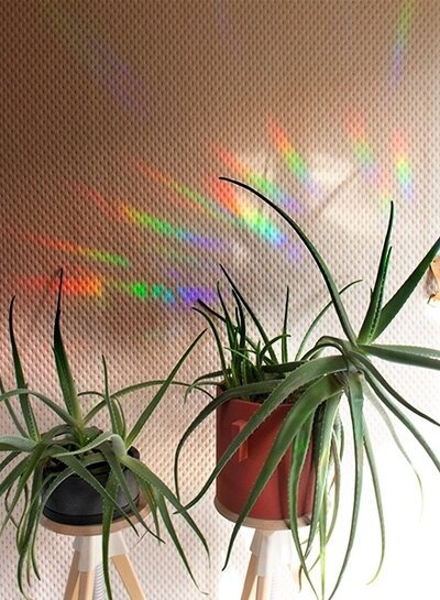 Botanopia RAINBOW Maker