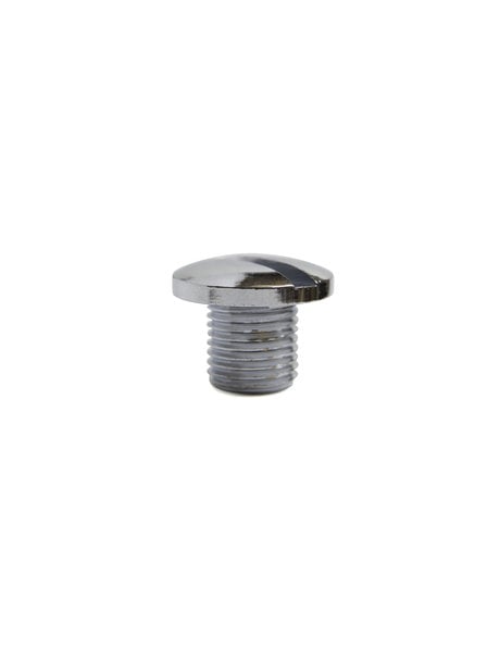 Robust screw, large flat head, shiny silver