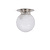 Art Deco ceiling lamp, frosted glass lampshade with flower motif