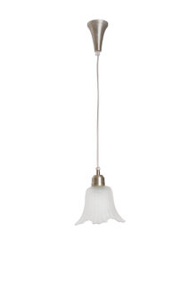 Small Hanging Lamp, Frosted Glass Flower as Shade