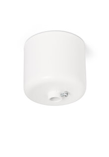 White Ceiling Cap, 'Little Tower'