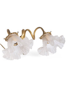 Stijlvolle Wandlamp, Ramskop, Matglazen Rokkapjes