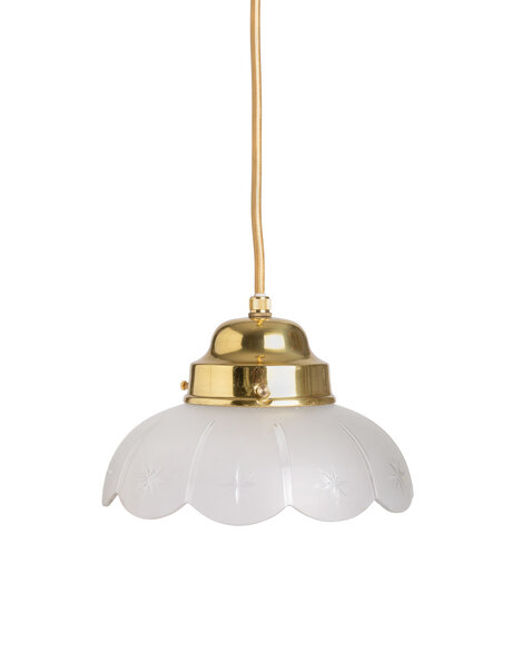 Leuke hanglamp, matglazen bloem