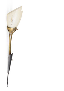 Vintage Wall Lamp, 2 Shades on Bendable Steel