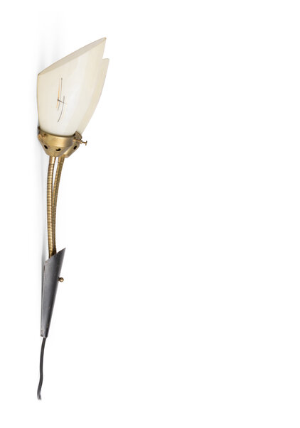 Vintage Wall Lamp, 2 Shades on Bendable Steel