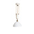Antique pendant lamp, white glass shade on a pull cord